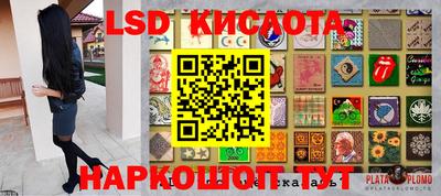 прущие грибы Нальчик